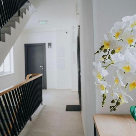Charlotte Apartment - 2Bedrooms W Parking Near Nymphaea ออราแด ภายนอก รูปภาพ
